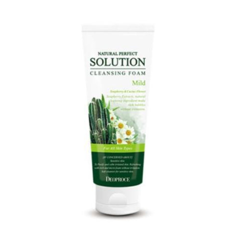 Deoproce Natural Perfect Solution Cleansing Foam Soapberry Cactus Flower 170g